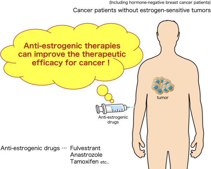 Effects of anti-estrogenic therapies