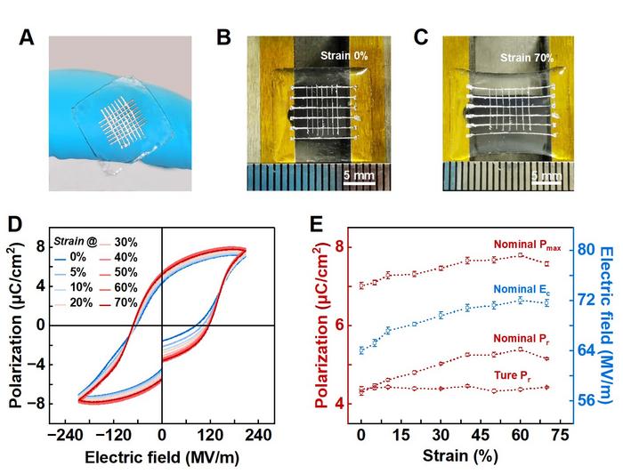 The elastic ferroelectrics under 70% strain