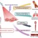 Phenotypic shift of VSMCs in response to hypoxia condition of panvascular system