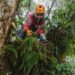 USU Ecologist Jessica Murray in Costa Rican Tree Canopy