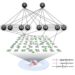 The free energy principle guides real neural network reorganization during learning