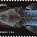 Zebrafish Postage Stamp