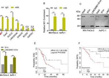 LINC00901 is an m6A-modified lncRNA and its high level is associated with poor prognosis of PDAC patients.