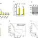 LINC00901 is an m6A-modified lncRNA and its high level is associated with poor prognosis of PDAC patients.