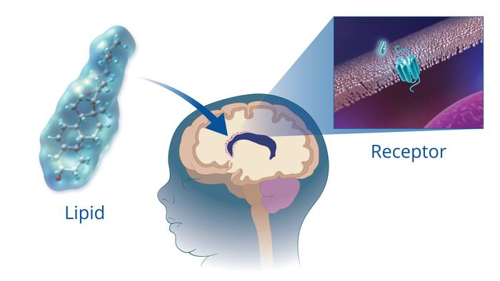 Newly Identified Lipid in Breast Milk Might Reduce Cerebral Palsy in Infants