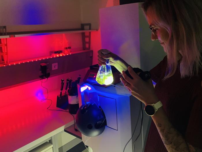 In the protein examined at Graz University of Technology, blue light created a strong encymatic reaction.