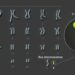 Human Y chromosome