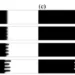 Time evolution of viscous fingering