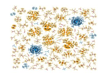 The configuration space of a 3-regular graph with 12 nodes.