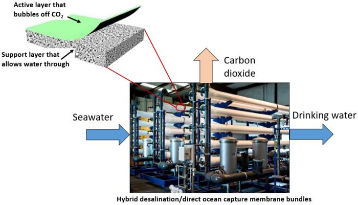 Removing Salt and Carbon