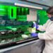 A researcher at work in the Advanced Precision Medicine Laboratory.