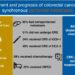 Treatment and prognosis of colorectal cancer with synchronous peritoneal  metastases