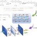 Synthesis of PTP and fabrication of PTP-Cx membranes