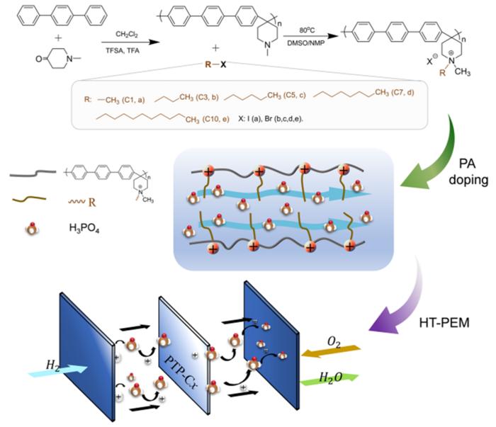 Synthesis of PTP and fabrication of PTP-Cx membranes