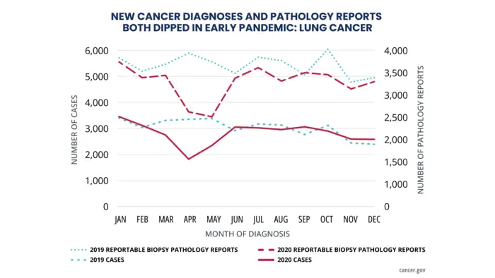 New cancer diagnoses and pathology reports in 2020