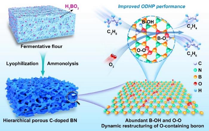 Flour-derived borocarbonitride enriched with boron-oxygen species for the oxidative dehydrogenation of propane to olefins