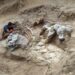 General view of the Sant Antoni de la Vespa deposit during the extraction of one of the Garumbatitan specimens.