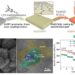 Morphology and Performance of Novel Lithium-Sulfur Battery Cathode Materials