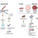 review article immunotherapy