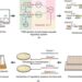 Framework for the TIMO genetic circuit-assisted strategy for remodeling and synergistic regulating IPP metabolism.