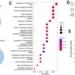 The intersection of aging and disease