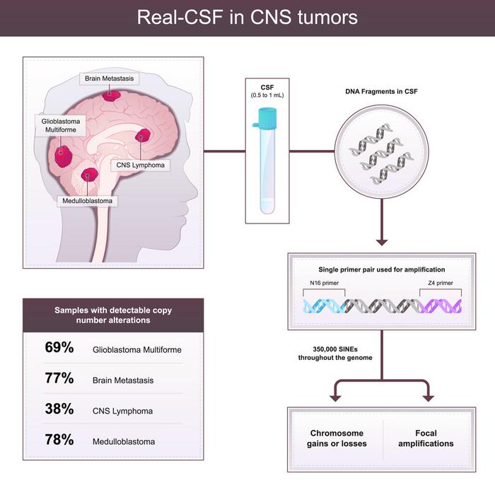 This diagram shows how the Real-CSF test works