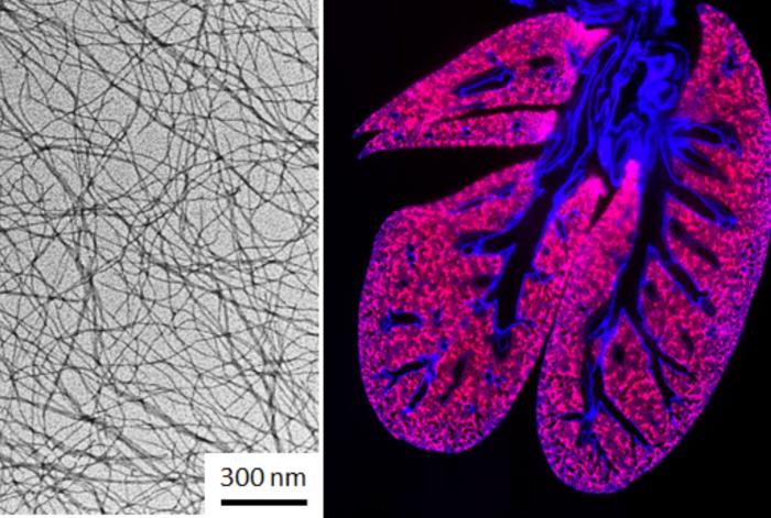 Nanofibers