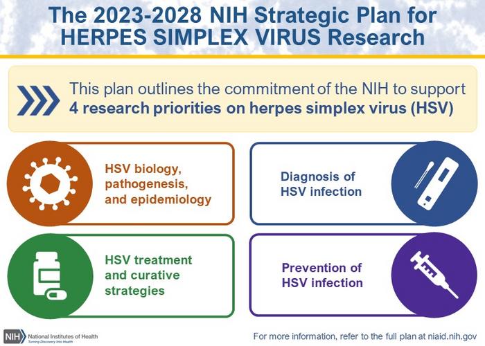 NIH’s approach to HSV research