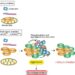 Schematic model of the pathogenic mechanism of mutant CHCHD2-induced PD