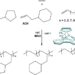 Copolymerization of ethylene with end-cyclized α-olefins or linear α-olefins with various chain lengths, using a metallocene catalyst.