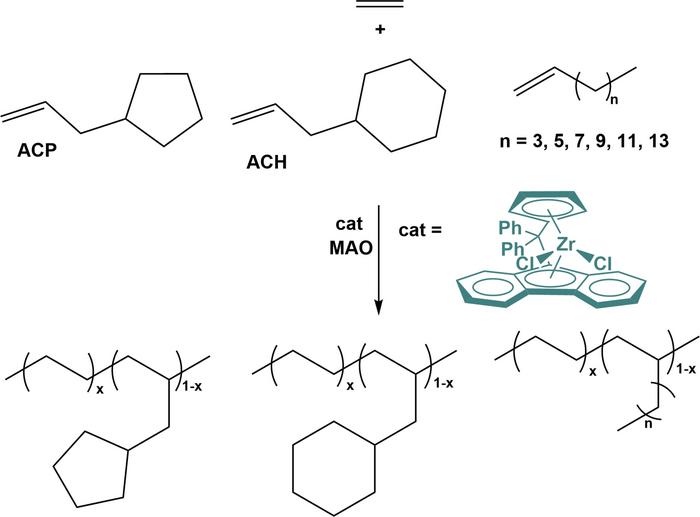 Copolymerization of ethylene with end-cyclized α-olefins or linear α-olefins with various chain lengths, using a metallocene catalyst.