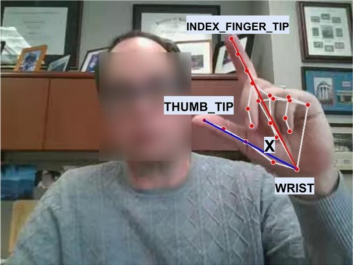 Hand key points extracted by MediaPipe