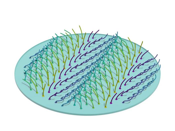 Beating cilia