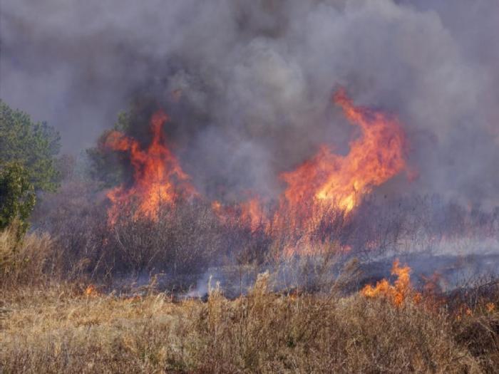 Fire at Pocosin Lakes