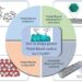 Schematic diagram of the research progress of the Nickel-Based catalyst towards CO2 reduction reaction (CO2RR) .