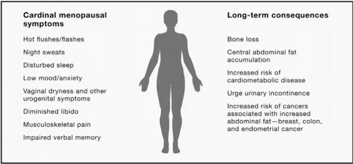 Menopause symptoms and long-term consequences