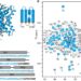 Fluoride permeation mechanism of the Fluc channel in liposomes revealed by solid-state NMR