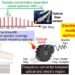 Fig1.Electrical frequency readout-based optical biosensing using OFC.