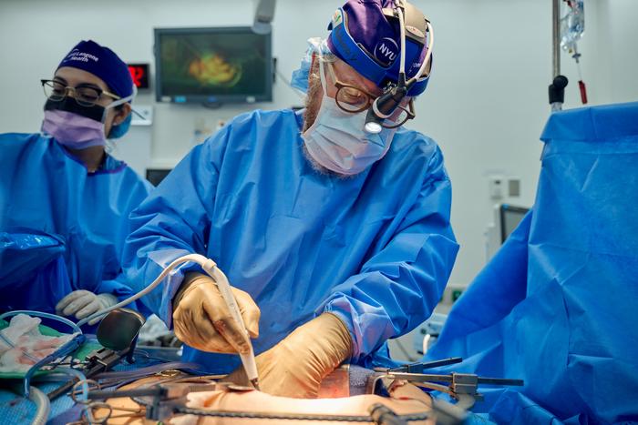 Robert Montgomery, MD, DPhil, performs the NYU Langone Transplant Institute's fifth xenotransplant on July 14, 2023