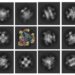 Small Protein Scaffold