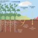 The agricultural carbon cycle