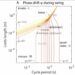 phase shift during swing