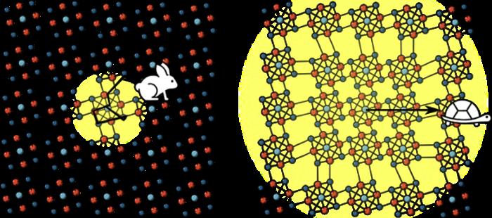 A Quantum Tortoise & Hare