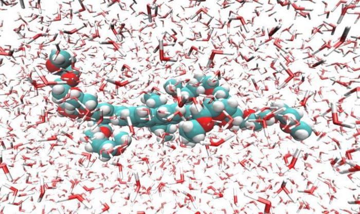 Absorption of light by molecules has applications in microscopy