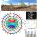 Morphological view and genomic profile of forage Sheepgrass