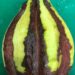 Cocoa pods — a source of chocolate, and potentially, flame retardants