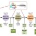 A model showing myogenetic oligodeoxynucleotide’s (iSN04) effect on pluripotent stem cell differentiation