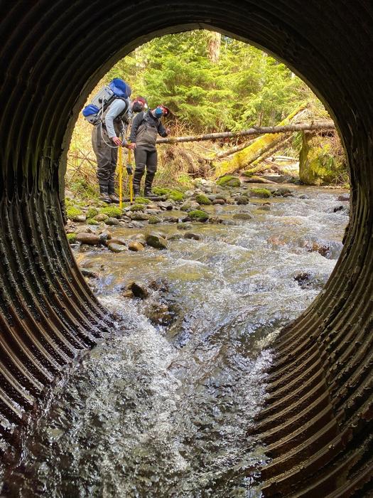 Culvert Closeup