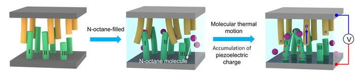 Electricity-generating mechanism of the molecular thermal motion harvester