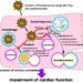 The dual suppressive effect of gingipain on both xenophagy and autophagy